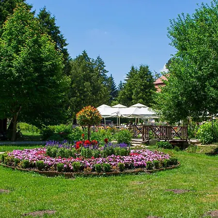 Rozalia Garden Gate Avrig